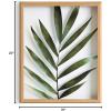 imageKate and Laurel Blake Botanical Framed Printed Glass Art by Amy Peterson 16x20 Natural Modern Wall Decor Inspired by NatureNatural