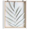 imageKate and Laurel Blake Botanical Framed Printed Glass Art by Amy Peterson 16x20 Natural Modern Wall Decor Inspired by NatureNatural