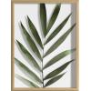 imageKate and Laurel Blake Botanical Framed Printed Glass Art by Amy Peterson 16x20 Natural Modern Wall Decor Inspired by NatureNatural