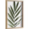 imageKate and Laurel Blake Botanical Framed Printed Glass Art by Amy Peterson 16x20 Natural Modern Wall Decor Inspired by NatureNatural