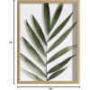 imageKate and Laurel Blake Botanical Framed Printed Glass Art by Amy Peterson 16x20 Natural Modern Wall Decor Inspired by NatureNatural