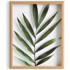 imageKate and Laurel Blake Botanical Framed Printed Glass Art by Amy Peterson 16x20 Natural Modern Wall Decor Inspired by NatureNatural