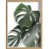 imageKate and Laurel Blake Monstera leaves Framed Printed Glass Wall Art by Amy Peterson Art Studio 18x24 Natural Decorative Nature Art for Wall
