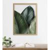 imageKate and Laurel Blake Tropical Palm Leaves Framed Printed Glass Wall Art by Amy Peterson Art Studio 18x24 Natural Decorative Nature Themed Art for Wall
