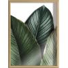 imageKate and Laurel Blake Tropical Palm Leaves Framed Printed Glass Wall Art by Amy Peterson Art Studio 18x24 Natural Decorative Nature Themed Art for Wall