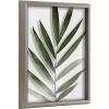 imageKate and Laurel Blake Botanical Framed Printed Glass Art by Amy Peterson 16x20 Natural Modern Wall Decor Inspired by NatureGray