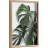 imageKate and Laurel Blake Monstera leaves Framed Printed Glass Wall Art by Amy Peterson Art Studio 18x24 Natural Decorative Nature Art for Wall