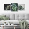 imageKate and Laurel Radical Succulent Floating Acrylic Art by Emiko and Mark Franzen of F2Images 23x23 Decorative Unique Succulent Art for Wall