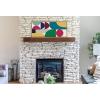 imageKate and Laurel Sylvie MCM Pattern 13 Framed Canvas Wall Art by Rachel Lee of My Dream Wall 18x40 Natural Colorful Abstract Shape Pattern Art for Wall