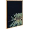 imageKate and Laurel Sylvie Succulent 8 Succulent 1 and Succulent 5 Framed Canvas Wall Art Set by Emiko and Mark Franzen of F2Images 3 Piece Set Natural Modern Dramatic Botanical Wall Dcor
