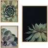 imageKate and Laurel Sylvie Succulent 8 Succulent 1 and Succulent 5 Framed Canvas Wall Art Set by Emiko and Mark Franzen of F2Images 3 Piece Set Natural Modern Dramatic Botanical Wall Dcor