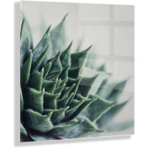 imageKate and Laurel Radical Succulent Floating Acrylic Art by Emiko and Mark Franzen of F2Images 23x23 Decorative Unique Succulent Art for Wall