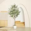 imageArtificial Olive Tree 9 Feet  Tall Faux Olive Tree 9ft 108in  Olive Trees Artificial Indoor with Natural Wood Trunk and Lifelike Fruits  Fake Olive Tree for Home House Decor Indoor