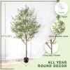 imageArtificial Olive Tree 9 Feet  Tall Faux Olive Tree 9ft 108in  Olive Trees Artificial Indoor with Natural Wood Trunk and Lifelike Fruits  Fake Olive Tree for Home House Decor Indoor