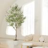 imageArtificial Olive Tree 9 Feet  Tall Faux Olive Tree 9ft 108in  Olive Trees Artificial Indoor with Natural Wood Trunk and Lifelike Fruits  Fake Olive Tree for Home House Decor Indoor
