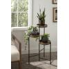 imageKate and Laurel Finn TriLevel Metal Plant Stand Bronze Decorative Hinged Tray Stand DisplayNaturalBlack
