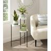 imageKate and Laurel Finn TriLevel Metal Plant Stand Bronze Decorative Hinged Tray Stand DisplayWhiteBlack