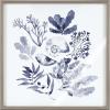 imageKate and Laurel Blake Indigo Shells Framed Printed Acrylic Wall Art by Sara Berrenson 24x24 Gray Decorative Coastal Art Print for Wall
