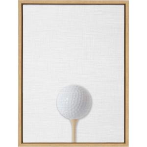 imageDesignOvation Sylvie Color Golf Ball Portrait Framed Canvas Wall Art 18x24 Natural Sporty Wall Decor for Home