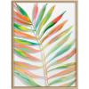 imageKate and Laurel Blake Palma Framed Printed Glass Wall Art by Jessi Raulet of Ettavee 18x24 Natural Decorative Vibrant Glass Nature Art for WallNatural