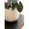 imageKate and Laurel Jia Transitional Round Indoor Planter Pot 11 x 11 x 11 Cream Modern Circular Planter for Indoor Plants for Living Room or Sunroom Decor