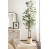 imageKate and Laurel Jibbs Round Indoor Scalloped Planter Pot 10 x 10 x 10 White Modern Circular Planter for Indoor Plants for Living Room or Sunroom Decor