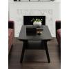 imageKate and Laurel Louena MidCentury Tiered Rectangle Coffee Table 48 x 24 x 18 Black Modern TwoTier Rectangular Apartment Living Room Coffee Table with Storage and Sturdy Wooden Construction