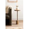 imageKate and Laurel Xyler Modern Round Wood and Metal Drink Table 10 x 10 x 24 Burlwood and Antique Brass Transitional Pedestal Table for Use as Indoor Plant Stand or Living Room Decor AccentNaturalGold