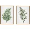 imageKate and Laurel Sylvie Green Fern and Ruscus Framed Canvas Wall Art Set by Patricia Shaw 2 Piece 18x24 Natural Natural Plant Leaf Art Set for Wall