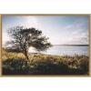 imageKate and Laurel Coastal Serene Sunset Tree Landscape Framed Canvas Wall Art by Patricia Rae 33 x 23 Sylvie Natural Coastal Landscapes Nature Art for Wall Decor Living Room Bedroom