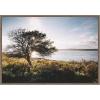 imageKate and Laurel Coastal Serene Sunset Tree Landscape Framed Canvas Wall Art by Patricia Rae 33 x 23 Sylvie Walnut Coastal Landscapes Nature Art for Wall Decor Living Room Bedroom