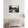 imageKate and Laurel Pathway to the Forest Landscape Framed Canvas Wall Art by Patricia Rae 33 x 23 Sylvie Greywash Rustic Farmhouse Landscapes Nature Art for Wall Decor Living Room Bedroom