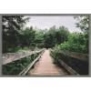 imageKate and Laurel Pathway to the Forest Landscape Framed Canvas Wall Art by Patricia Rae 33 x 23 Sylvie Greywash Rustic Farmhouse Landscapes Nature Art for Wall Decor Living Room Bedroom