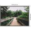 imageKate and Laurel Pathway to the Forest Landscape Framed Canvas Wall Art by Patricia Rae 33 x 23 Sylvie Greywash Rustic Farmhouse Landscapes Nature Art for Wall Decor Living Room Bedroom
