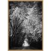 imageKate and Laurel Pleasant Valley Road Serene Path Framed Canvas Wall Art by F2images 23 x 33 Sylvie Natural Black ampamp White Nature Landscapes Art for Wall Decor Living Room Bedroom