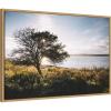 imageKate and Laurel Coastal Serene Sunset Tree Landscape Framed Canvas Wall Art by Patricia Rae 33 x 23 Sylvie Natural Coastal Landscapes Nature Art for Wall Decor Living Room Bedroom