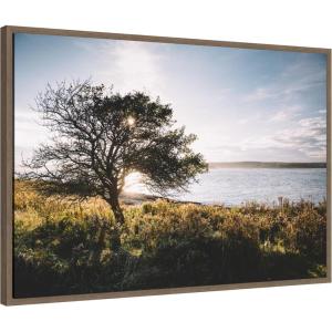 imageKate and Laurel Coastal Serene Sunset Tree Landscape Framed Canvas Wall Art by Patricia Rae 33 x 23 Sylvie Walnut Coastal Landscapes Nature Art for Wall Decor Living Room Bedroom