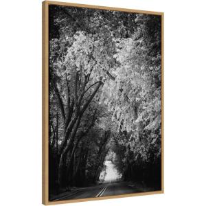 imageKate and Laurel Pleasant Valley Road Serene Path Framed Canvas Wall Art by F2images 23 x 33 Sylvie Natural Black ampamp White Nature Landscapes Art for Wall Decor Living Room Bedroom