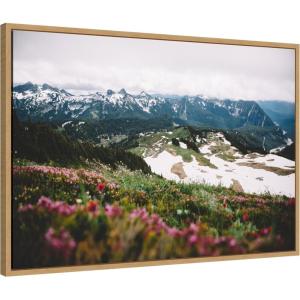 imageKate and Laurel Snow Covered Mountain Landscape Framed Canvas Wall Art by Patricia Rae 33 x 23 Sylvie Natural Rustic Farmhouse Landscapes Nature Art for Wall Decor Living Room Bedroom