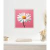 imageKate and Laurel Delicate Daisy 2 Pink Framed Canvas Wall Art by The Creative Bunch Studio 16 x 16 Sylvie Beaded White Whimsical Flowers Nature Art for Wall Decor Living Room Bedroom