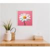 imageKate and Laurel Delicate Daisy 2 Pink Framed Canvas Wall Art by The Creative Bunch Studio 16 x 16 Sylvie Beaded White Whimsical Flowers Nature Art for Wall Decor Living Room Bedroom