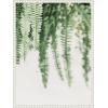 imageKate and Laurel Fern Framed Canvas Wall Art by Alicia Abla 18 x 24 Sylvie Beaded White Modern Contemporary Nature Art for Wall Decor Living Room Bedroom