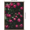 imageKate and Laurel Moody Dark Pink Tulips in Bloom Framed Canvas Wall Art by Patricia Rae 23 x 33 Sylvie Dark Gold Modern Contemporary Flowers Nature Art for Wall Decor Living Room Bedroom