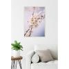 imageKate and Laurel Nature White Floral Blooms Framed Canvas Wall Art by Patricia Rae 23 x 33 Sylvie Beaded White Modern Contemporary Flowers Nature Seasons Art for Wall Decor Living Room Bedroom