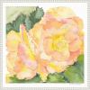 imageKate and Laurel Orange Pink Abstract Begonia Framed Canvas Wall Art by Patricia Shaw 22 x 22 Sylvie Beaded White Whimsical Flowers Nature Abstract Art for Wall Decor Living Room Bedroom