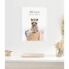 imageKate and Laurel Raccoon Little Rascal Laundry Service Framed Canvas Wall Art by Amy Peterson 18 x 24 Sylvie White Whimsical Animals Laundry Art for Wall Decor Living Room Bedroom