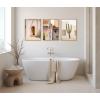imageKate and Laurel Sylvie Cabo San Lucas No 4 Isla Holbox No 3 Cactus no 2 Mexico Framed Canvas Wall Art Set by Crystal Lynn Collins 3 Piece Set Natural