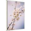 imageKate and Laurel Nature White Floral Blooms Framed Canvas Wall Art by Patricia Rae 23 x 33 Sylvie Beaded White Modern Contemporary Flowers Nature Seasons Art for Wall Decor Living Room Bedroom