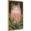 imageKate and Laurel Sylvie Beaded Protea Noire Vintage Framed Canvas Wall Art by Mackenzie Nelson 23x33 Beaded Natural Colorful Flower Art for Wall