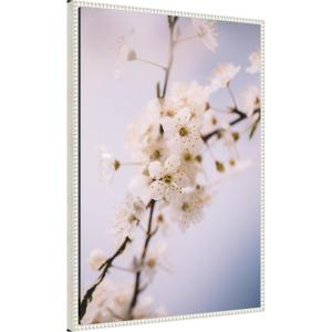 imageKate and Laurel Nature White Floral Blooms Framed Canvas Wall Art by Patricia Rae 23 x 33 Sylvie Beaded White Modern Contemporary Flowers Nature Seasons Art for Wall Decor Living Room Bedroom